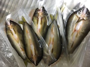 東京産の鮎の干物をいただきました。